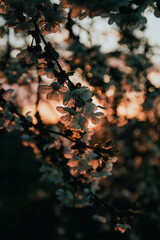 autumn in the park