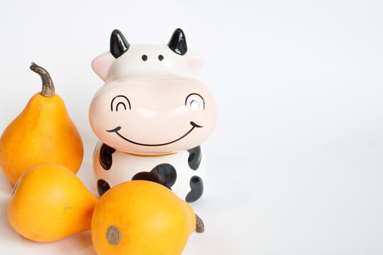 Three orange pumpkins in the shape of a pear and a piggy Bank in the shape of a cow are white and black on a white background. Farm. New year of the bull. Hello autumn. Autumn harvest