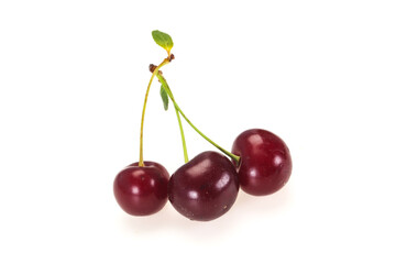 Sweet ripe cherry with leaves