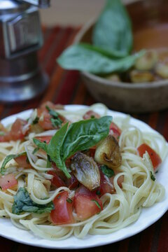 Close up of pasta with tomatoes, garlic and basil