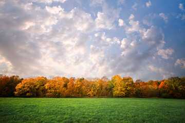 Trees in a row in autumn colors