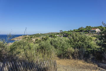 Racou natural site near Argeles-sur-Mer, Pyrenees Orientales, Languedoc Roussillon, France.