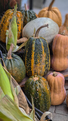 Halloween party .Pumpkin. Autumn. Harvest. Vegetable market. Tbilisi, Georgia. 09.11.2020