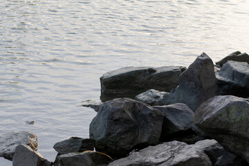 Large boulders lie on the shore of the reservoir. Close-up of wet stones of dark tones.