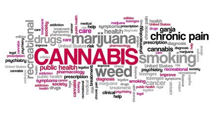 Fototapeta premium Cannabis concepts