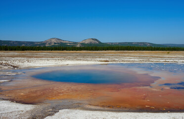 One of the Many Colorful Hot Springs on the Grand Prismatic Springs  Boardwalk, Yellow Stone National Park