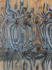 A Weathered Sheet of Plywood after Many Years of Exposre to Harsh Winter Weather