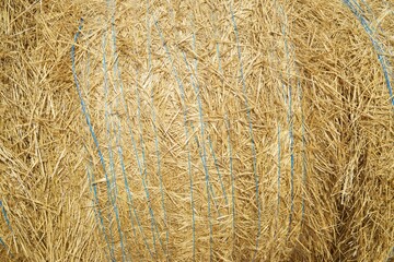 Straw bale view