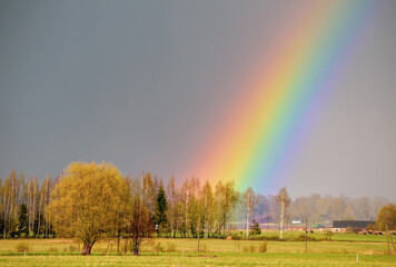 A very wide rainbow in the fields immediately after the rain.