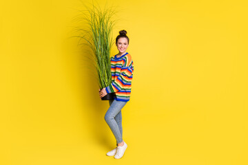 Full size photo of pretty young woman hold pot plant lovely smile isolated on yellow color background