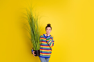 Photo of doubtful worried girl wear rainbow color sweater hold plant bite lip finger look copyspace isolated on yellow color background