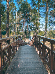 Obraz premium wooden path, stairs, natural walk in the park, blue sky