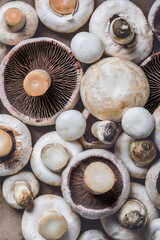 Fresh white champignon mushrooms on cutting board.