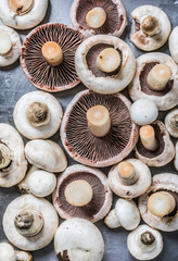 Texture of fresh mushrooms. Champignons (button mushrooms) on smooth reflective surface