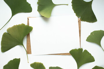 Mockup with postcard with leaves of Ginkgo tree on wthite background
invitation card, craft...