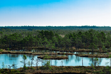 Obraz premium Aerial view of a tranquil lake or river with small islands and a forest in the background under a clear cloudless sky