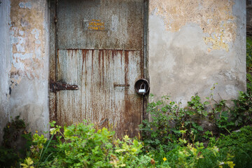Dark rusty metal entrance door with modern padlock in dirty gray concrete wall surrounded by green weed