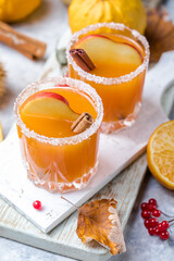 pumpkin punch or sangria in a glass with apple, cinnamon. Halloween and Thanksgiving. Traditional autumn, winter drinks and cocktails