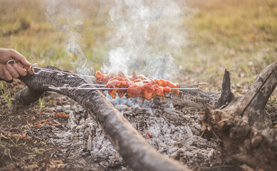 Shashlik cooking concept. Close-up of grilling tasty dish on barbecue.