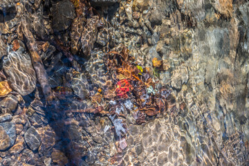 Riverbed under clean clear water