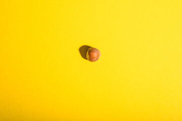 Hazelnut alone. Nutrients, flatlay. Healthy food concept