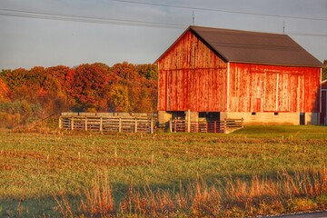 1220 - Lake Pleasant's Corralled Red 