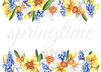 Border of spring Narcissus and Muscari flowers, Hand drawn watercolor illustration isolated on white background .tif