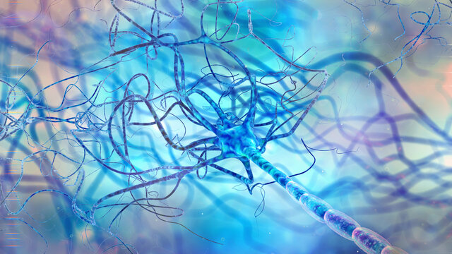 Human brain cell neuron close up in abstract space