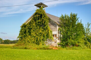 2038 - Reamer Road Schoolhouse in Summer