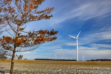 2033 - Winter Windmills I