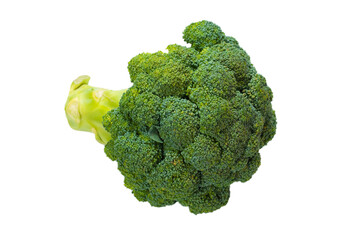 Fresh tasty broccoli isolated on white background.