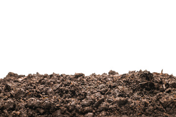 Black land for plant.