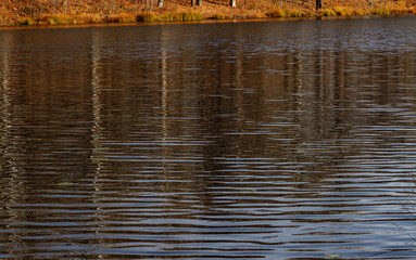 Glare and reflections on the water of an autumn lake in the vicinity of the city of Samara