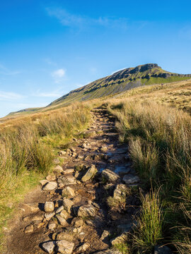 A stone path takes the hiker up to the mountain of Pen-y-ghent in the Yorkshire Dales National Park. At 2,277 feet, the mountain is one of the 'Three Peaks of Yorkshire'.