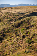 The Grasslands and Mountains at Agua Fria National Monument