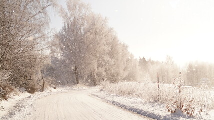 Obraz premium road in winter