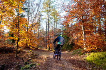 Obraz premium Mountain Bike nel bosco