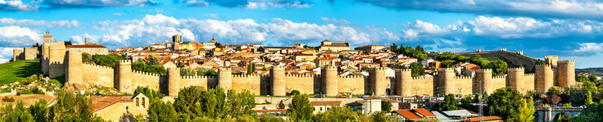 Fototapeta na wymiar Aerial view of Avila with its medieval walls. UNESCO world heritage in Spain