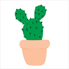 Vector cactus. exotic plants. Decorative natural elements isolated on white.