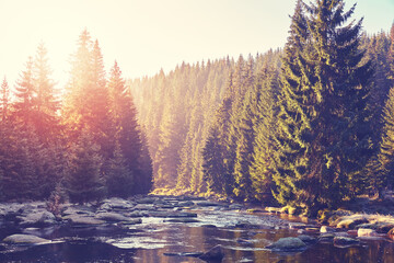 Izera River Valley at frosty sunrise, color toning applied, Poland.