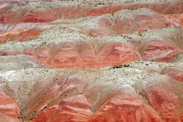 Red Mounds at Petrified Forest National Park