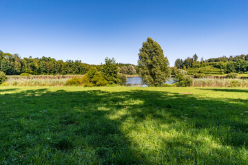 Beautiful hike on the Klosterweiher Weg near Salem