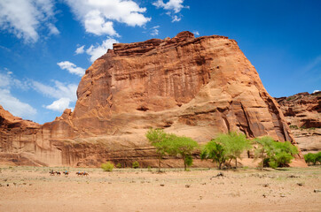 Fototapeta premium Horseback at Canyon de Chelly National Monument