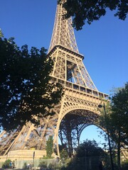 Fototapeta premium eiffel tower