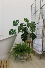 white bathroom and loft shower with monstera and fern flowers