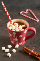 A cup of hot chocolate with marshmallows