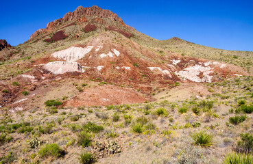 Big Bend National Park