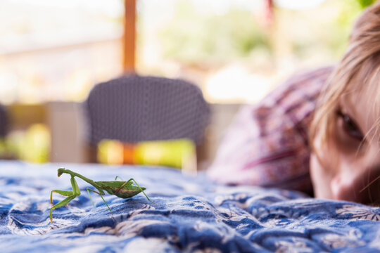 7 year old boy looking at a praying mantis
