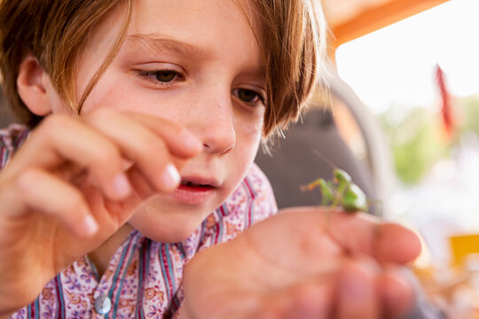 7 year old boy holding a praying mantis