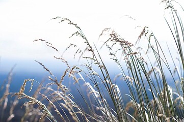 naturaleza, plantas y flora, fondos, paisajes